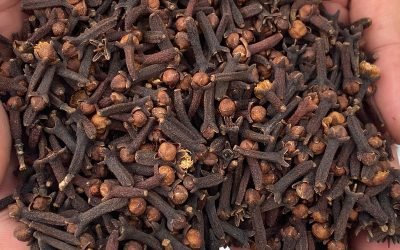 Cloves